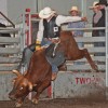 Tofield Bull Bash rated top event in 2011 by elite bullriders – second annual bash expected to be even bigger and better