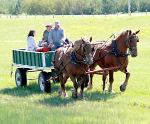 Bounty-WagonRides