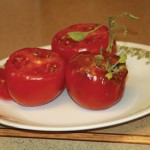 Vines growing out of tomato plants “freak of nature,” says Tofield resident