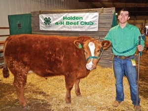 Holden4-H-Grand steer