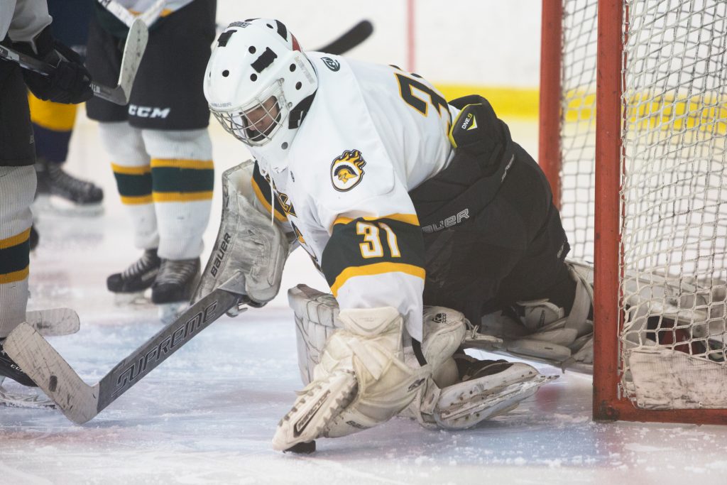Tofield Midgets head to provincials