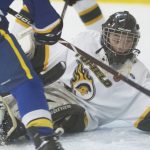 Tofield Tier 3 Bantams play two nearly perfect playoff games; Tier 2 Peewees put up a brave fight