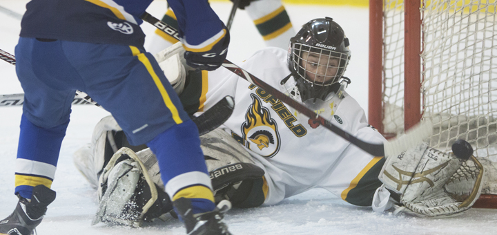 Tofield Tier 3 Bantams play two nearly perfect playoff games; Tier 2 Peewees put up a brave fight
