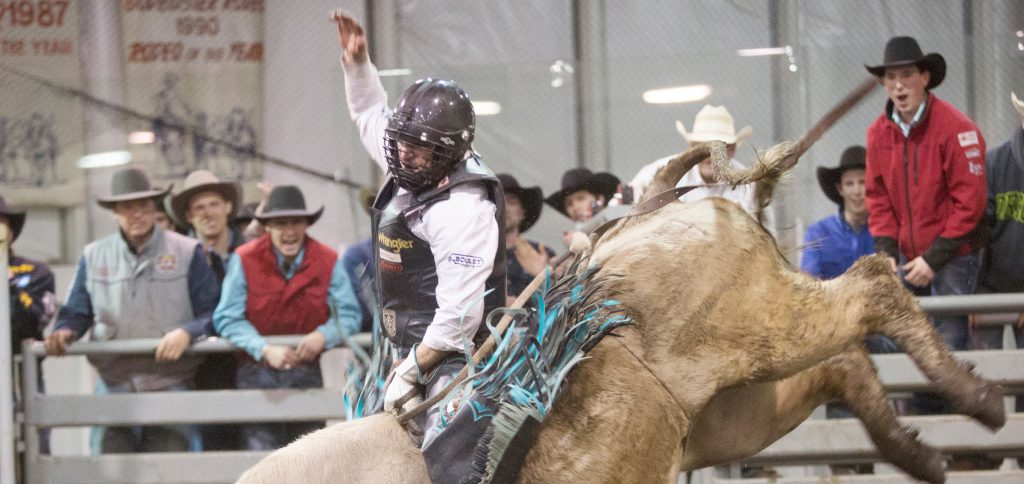 Wacey Finkbeiner takes Tofield Bull Bash