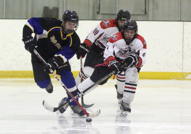 Tofield boys part of Viking Midgets star in 4-4 tie against New Sarepta ...