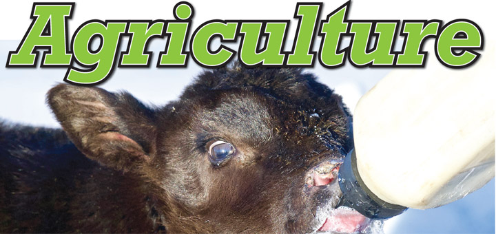 Read our 2019 Agriculture Section for FREE online now!