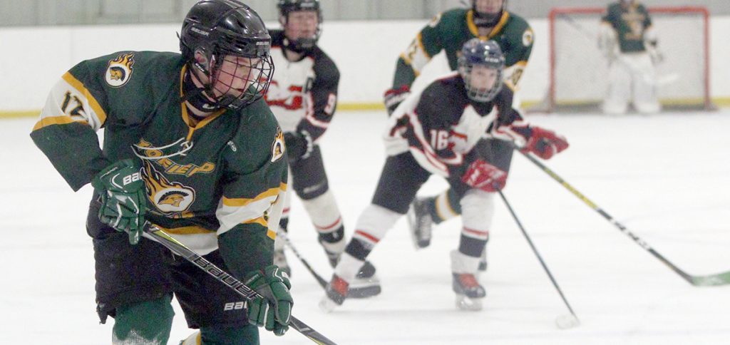 Tofield Bantams come up short in home tournament