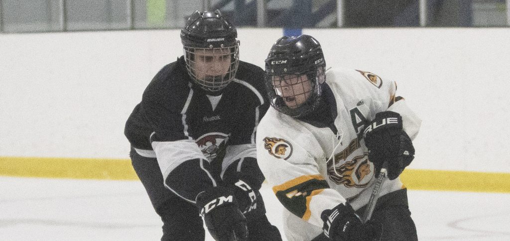 Tofield Tier 3 Bantams split two games over the weekend