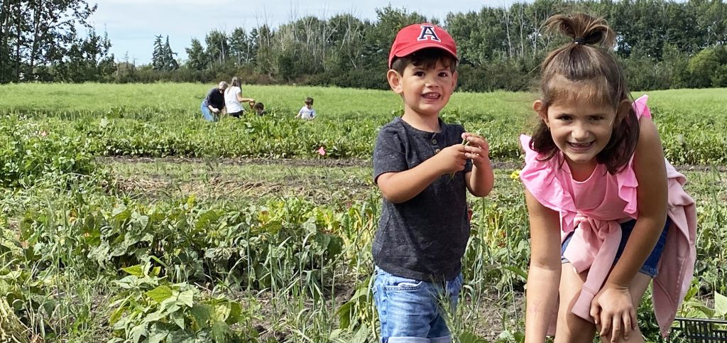 Lil Ryley Farms brings Alberta Open Farm Days to the community