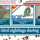 Grab the latest Mercury – STILL on newsstands!