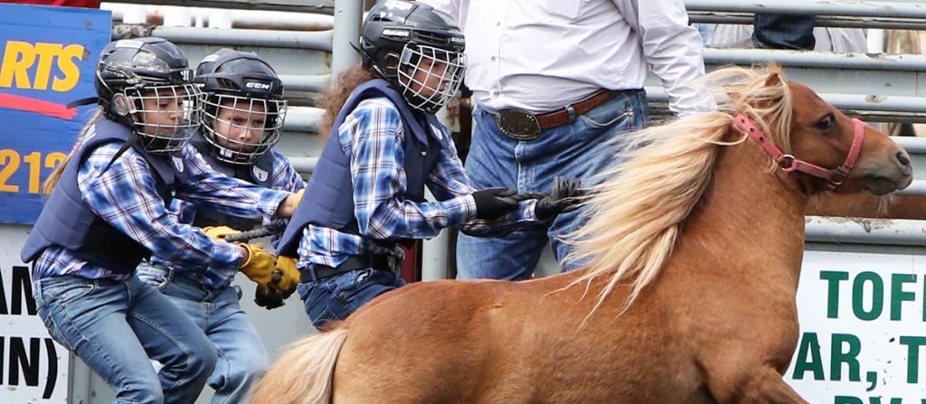 Tofield’s Sodbuster Rodeo packs a punch