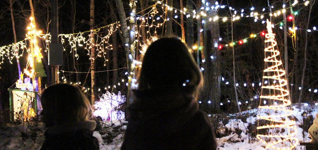Second Annual Hastings Lake Lights bring smiles