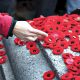 Details from area Remembrance Day ceremonies