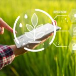 Canola seeding systems analyzed in Farming Smarter study