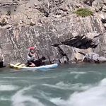 Paddle boarder saves drowning dog from icy waters of Kananaskis River