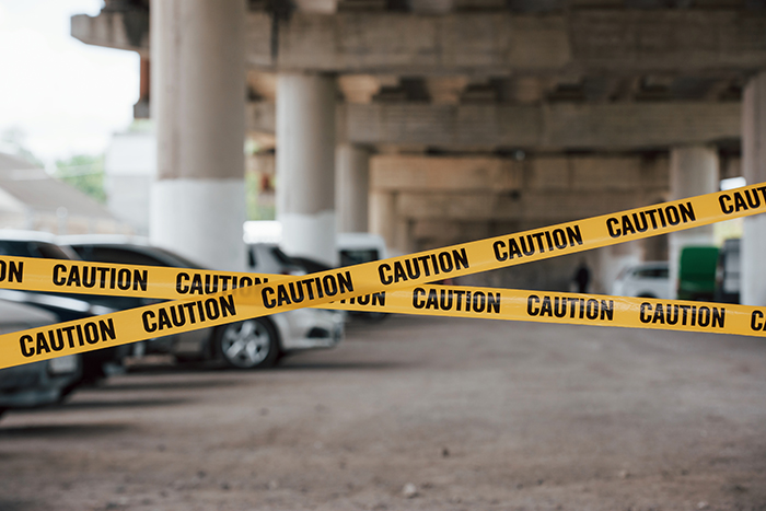 St. Albert RCMP investigate collision at Car Show that injured two pedestrians and killed dog